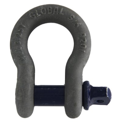 Bow Shackle with Screw Pin Bow Shackle with Screw Pin