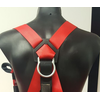 Harness Honeywell Fall Arrest with Webbing Lanyard back Harness Honeywell Fall Arrest with Webbing Lanyard back