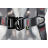 D-ring on harness D-ring on harness