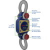 BlueLink Bluetooth Digital Dynamometer specifications diagram BlueLink Bluetooth Digital Dynamometer diagram outlining benefits, including curved and compact design and bluetooth technology.